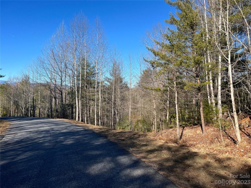 Property image 5 at Tbd Waters Edge Drive, Nebo, NC 28761