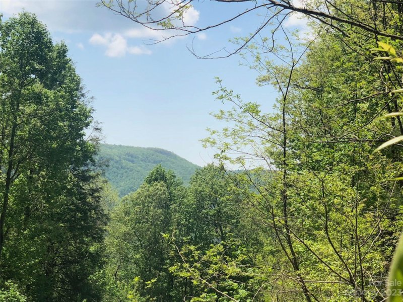 Tbd Laurel Thicket Lane