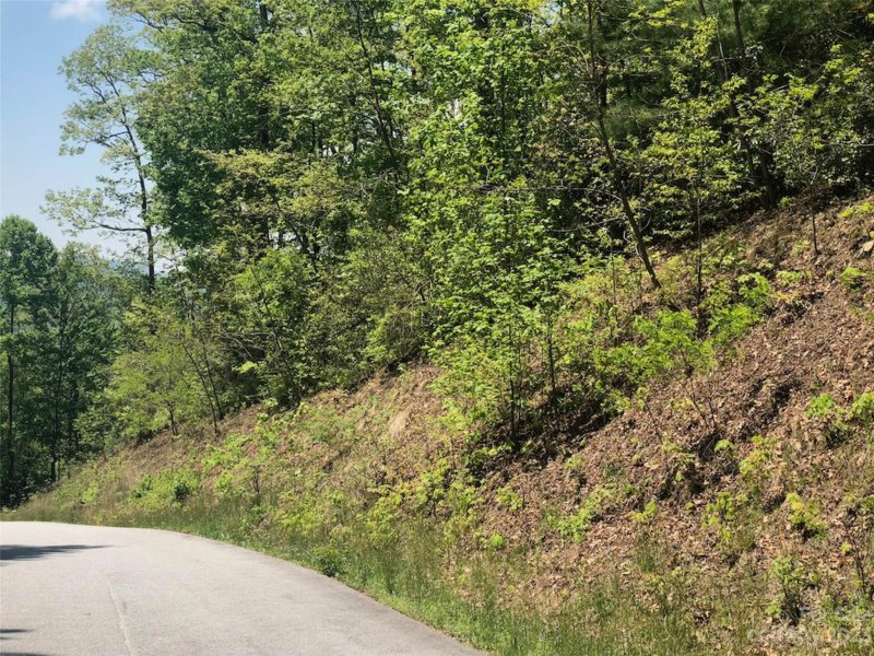 Property image 2 at Tbd Laurel Thicket Lane, Brevard, NC 28712