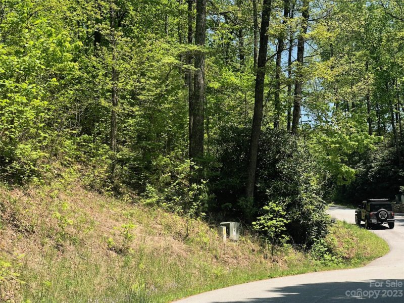 Property image 3 at Tbd Laurel Thicket Lane, Brevard, NC 28712