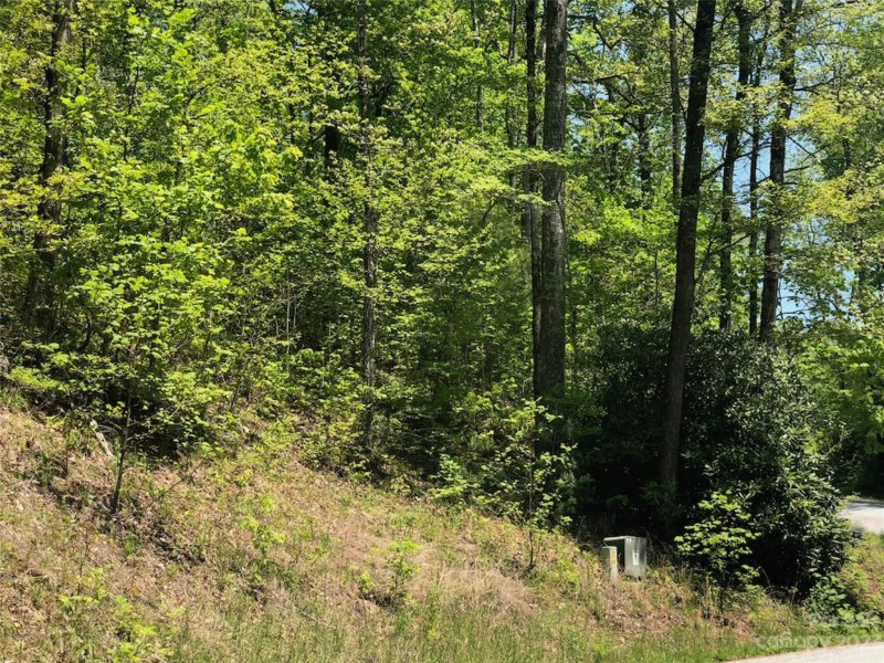 Property image 4 at Tbd Laurel Thicket Lane, Brevard, NC 28712