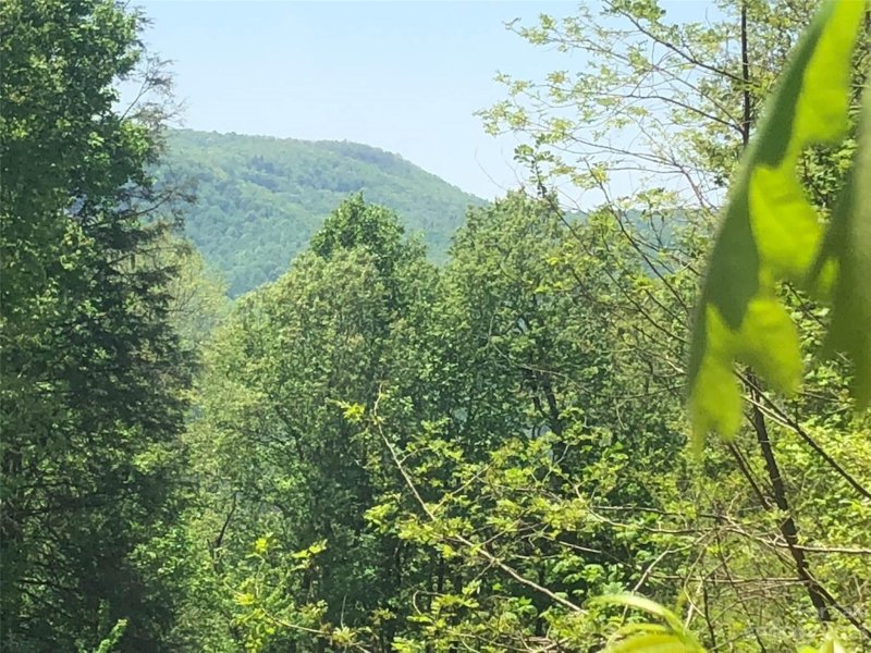 Property image 5 at Tbd Laurel Thicket Lane, Brevard, NC 28712