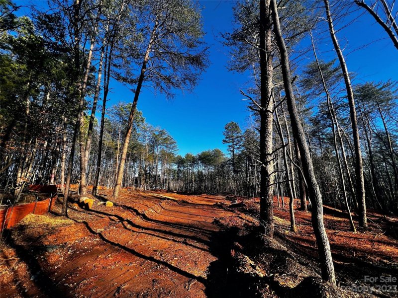 Property image 2 of 130 Hunt Camp Trail in Copper Pine, Davidson, NC 28036