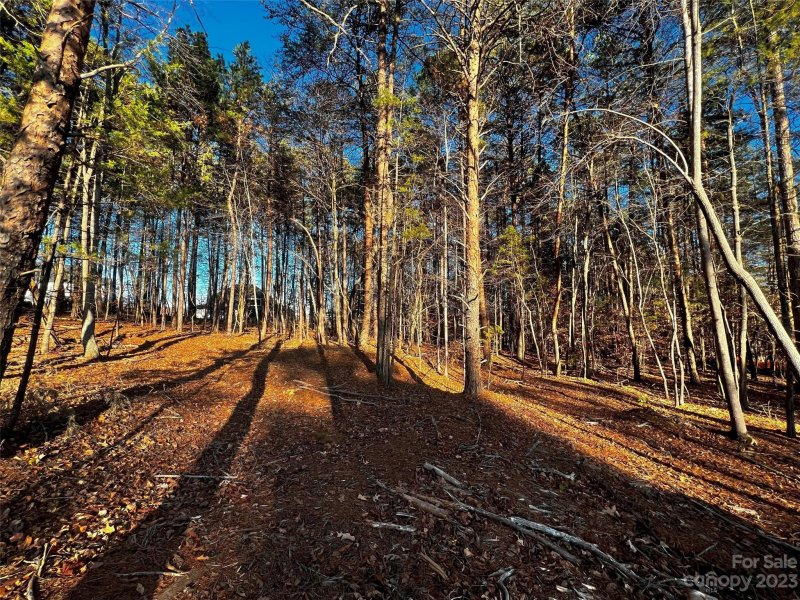 Property image 2 of 127 Hunt Camp Trail in Copper Pine, Davidson, NC 28036