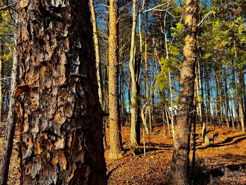 Property image 3 of 127 Hunt Camp Trail in Copper Pine, Davidson, NC 28036