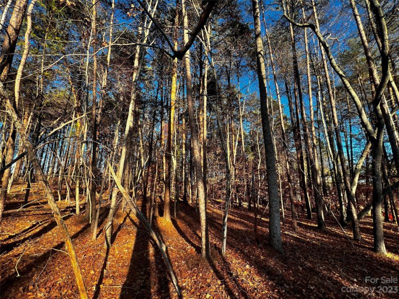 Property image 5 of 127 Hunt Camp Trail in Copper Pine, Davidson, NC 28036