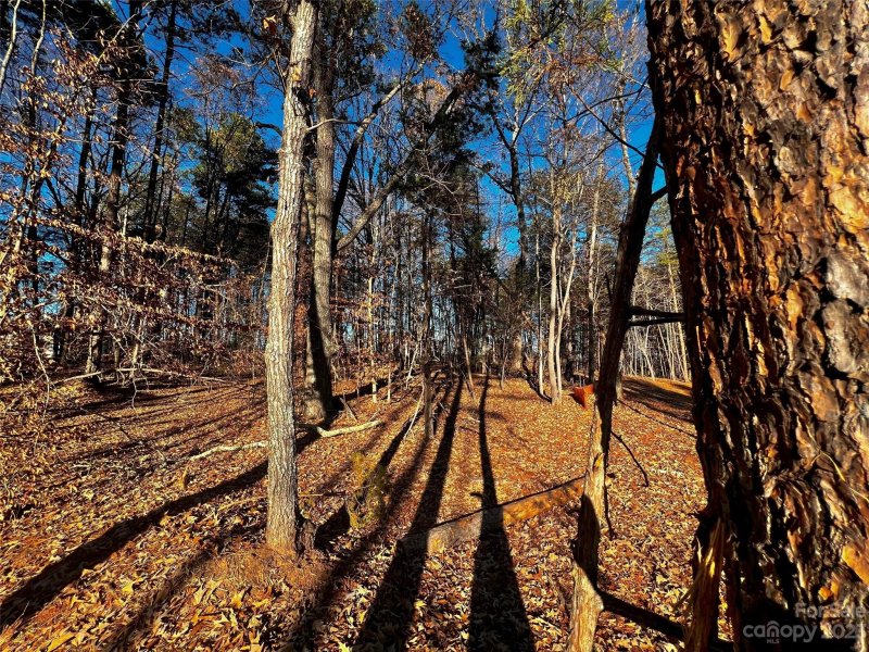 Property image 2 of 123 Hunt Camp Trail in Copper Pine, Davidson, NC 28036