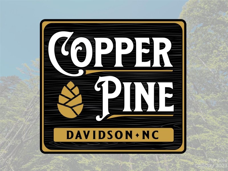 Property image 5 of 123 Hunt Camp Trail in Copper Pine, Davidson, NC 28036