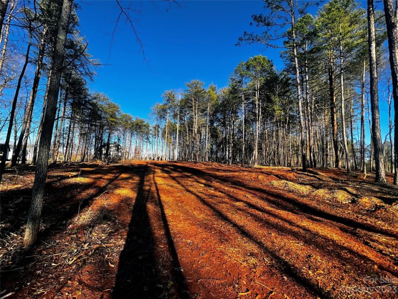 Property image 2 of 109 Hunt Camp Trail in Copper Pine, Davidson, NC 28036