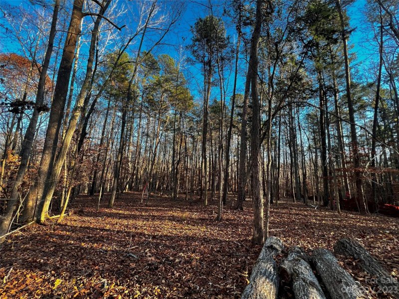 Property image 5 of 126 Hunt Camp Trail in Copper Pine, Davidson, NC 28036