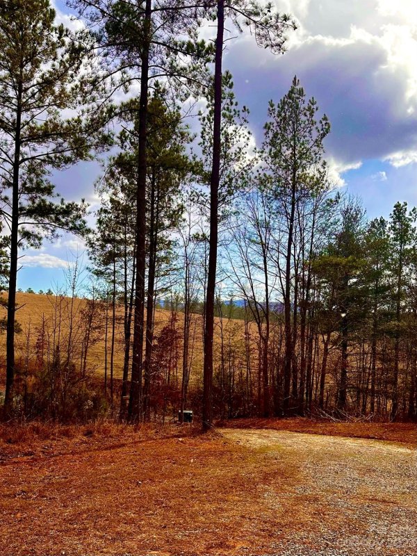 Property image 3 at 1647 Smokey Creek Road, Morganton, NC 28655