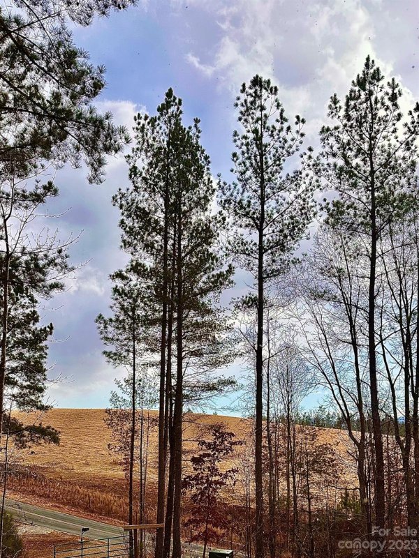 Property image 4 at 1647 Smokey Creek Road, Morganton, NC 28655