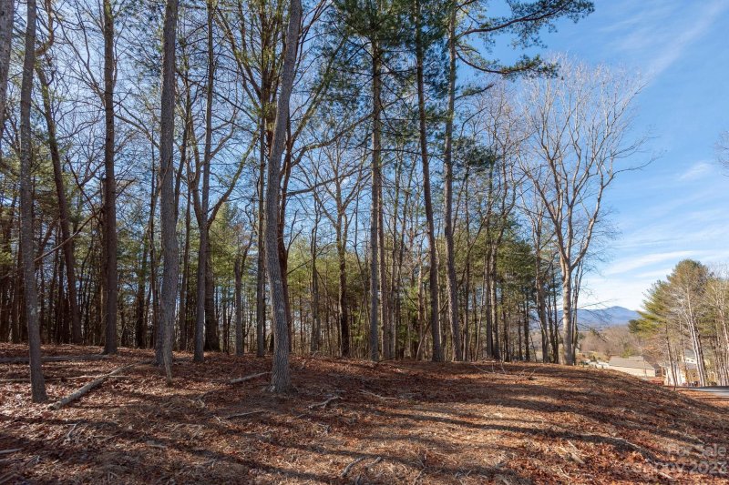 Property image 3 at Lot 5 Northview Drive, Hendersonville, NC 28791