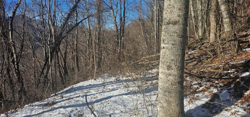 Property image 2 at Lot 68 Grandview Cliff Heights, Maggie Valley, NC 28751