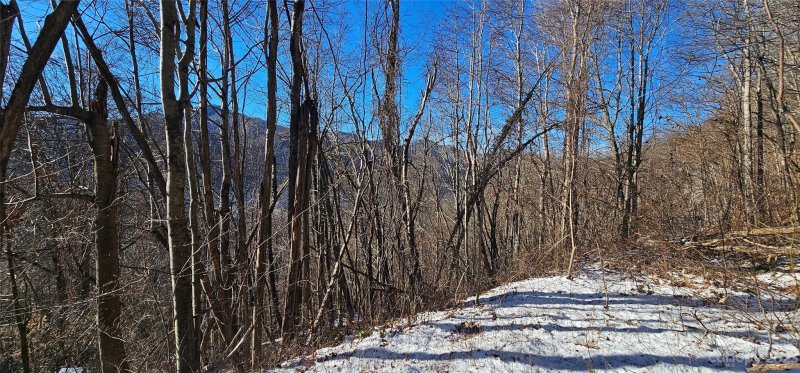 Property image 4 at Lot 68 Grandview Cliff Heights, Maggie Valley, NC 28751