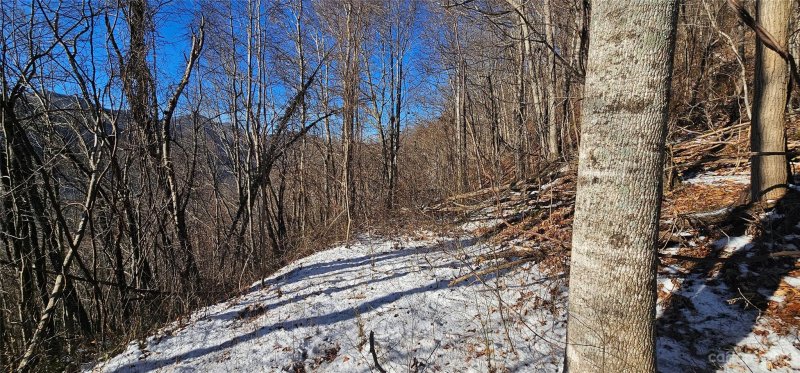 Property image 5 at Lot 68 Grandview Cliff Heights, Maggie Valley, NC 28751