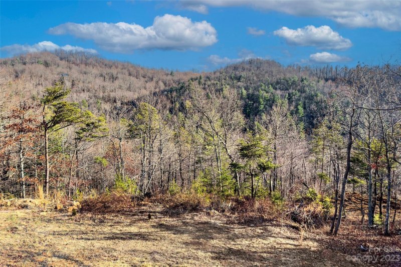 Property image 4 at 7049 Birch Lane, Morganton, NC 28655