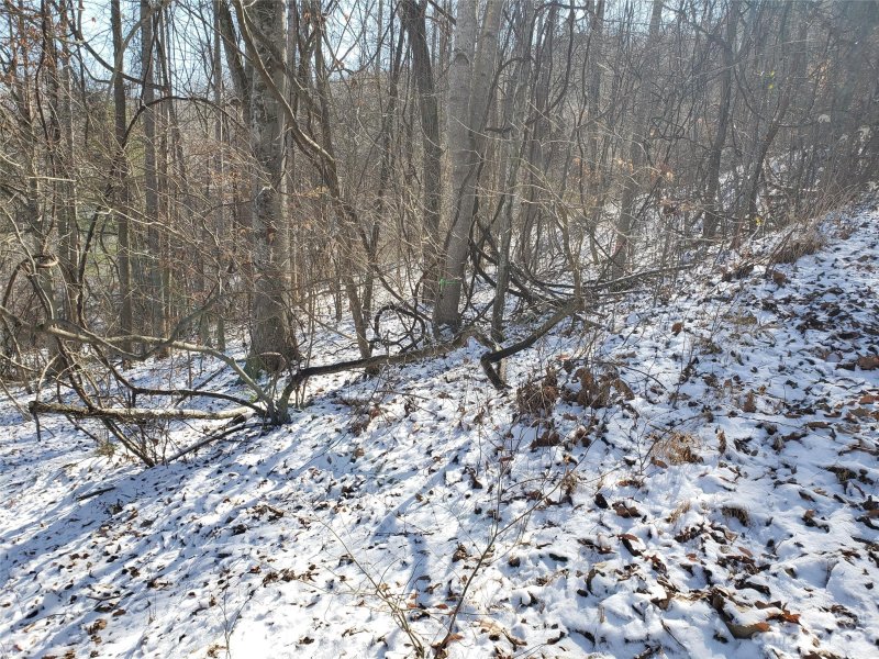 Property image 3 at 76 Buena Vista Drive, Barnardsville, NC 28709