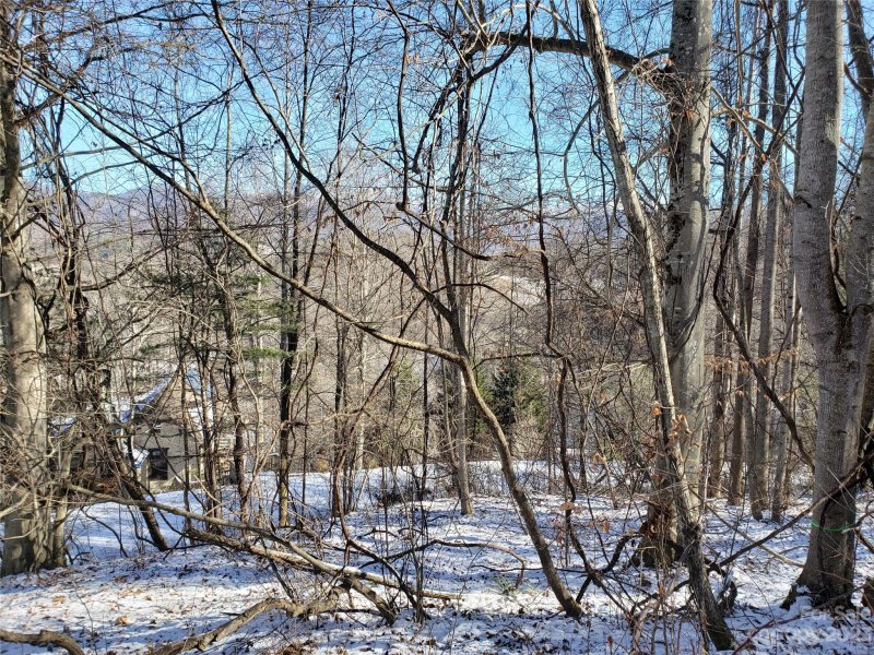 Property image 4 at 76 Buena Vista Drive, Barnardsville, NC 28709