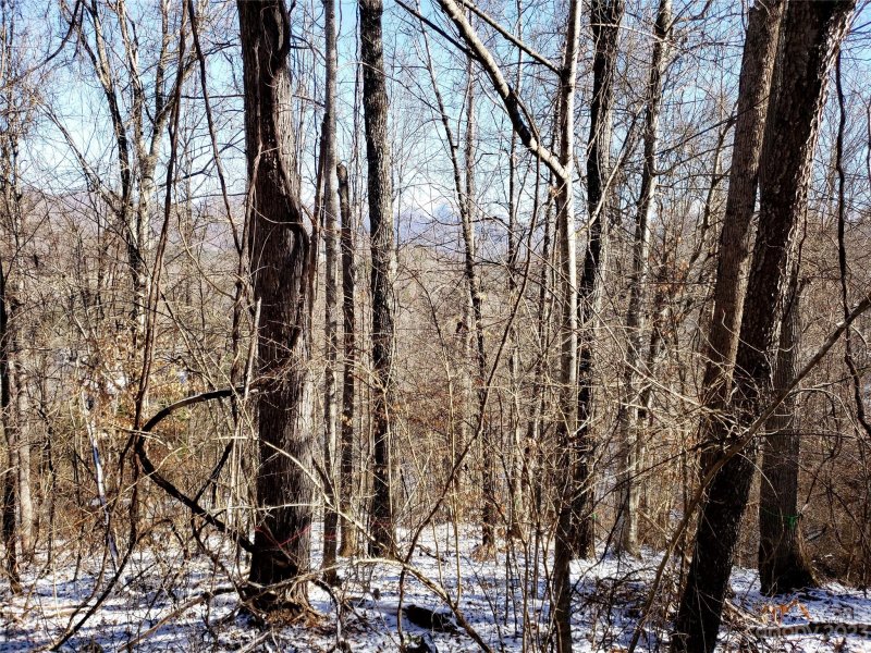 Property image 5 at 76 Buena Vista Drive, Barnardsville, NC 28709