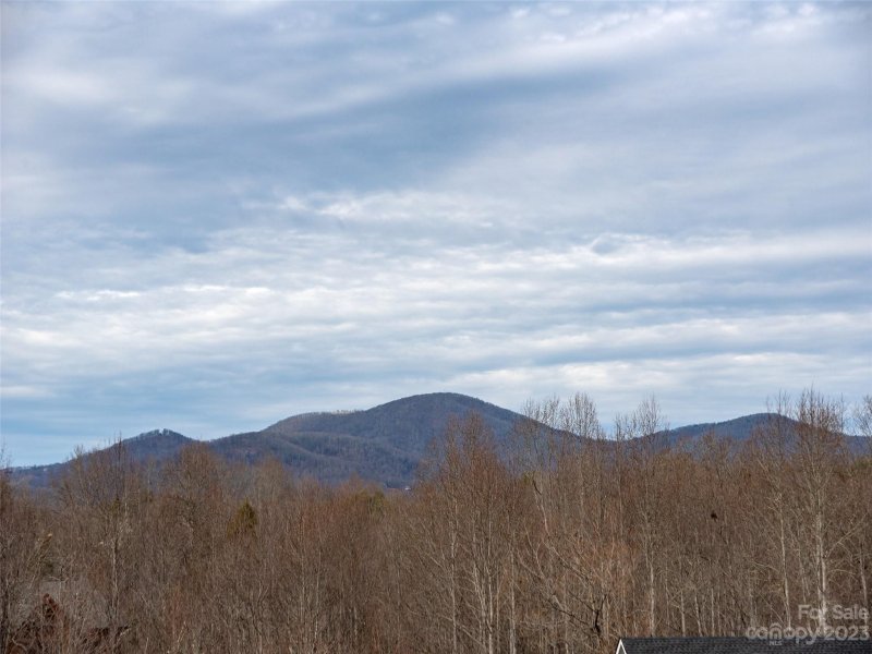 Property image 5 of 17 Sunny Morning Court in Old Orchard, Hendersonville, NC 28792