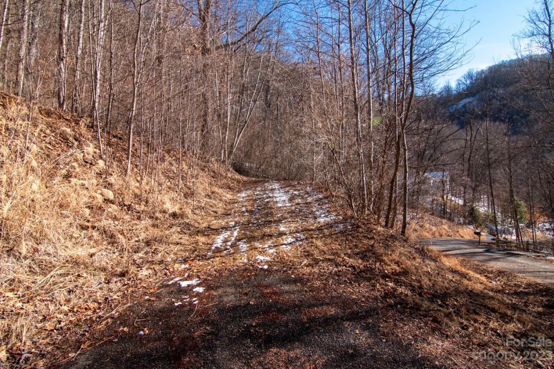 Property image 3 at 99999 High Timber Trail, Weaverville, NC 28787