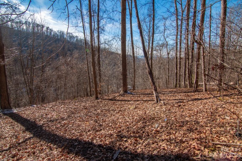 Property image 4 at 99999 High Timber Trail, Weaverville, NC 28787