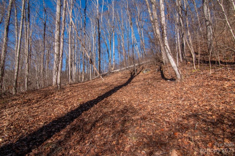 Property image 5 at 99999 High Timber Trail, Weaverville, NC 28787