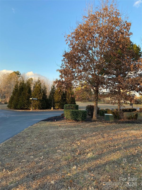 Property image 3 at 000 Doveridge Drive, Columbus, NC 28722