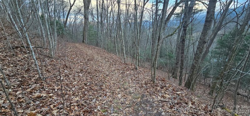 Lot 9 Seay Mountain Road