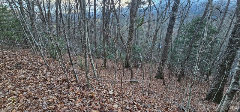 Property image 4 of Lot 9 Seay Mountain Road in Seay Mountain, Waynesville, NC 28785