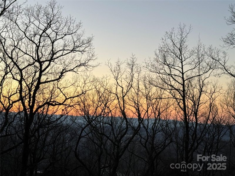 Property image 2 of 96 Castanea Mountain Drive in Chestnut Mountain, Asheville, NC 28803