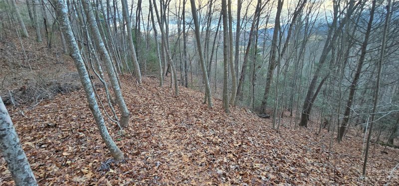 Property image 2 of Lot 10 Seay Mountain Road in Seay Mountain, Waynesville, NC 28785