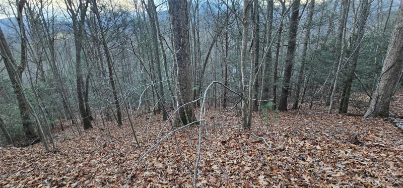 Property image 4 of Lot 10 Seay Mountain Road in Seay Mountain, Waynesville, NC 28785