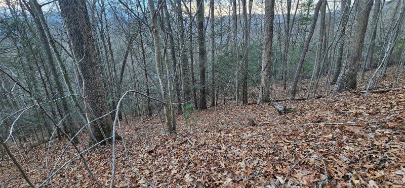Property image 5 of Lot 10 Seay Mountain Road in Seay Mountain, Waynesville, NC 28785