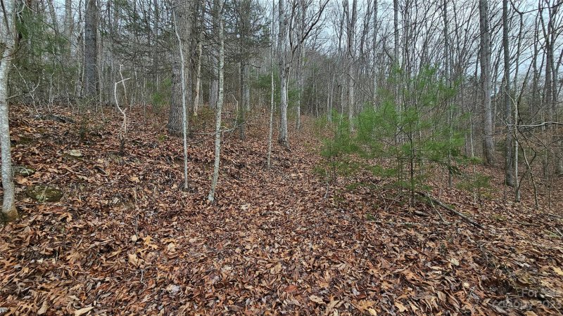Property image 2 of Lot 14 Seay Mountain Road in Seay Mountain, Waynesville, NC 28785