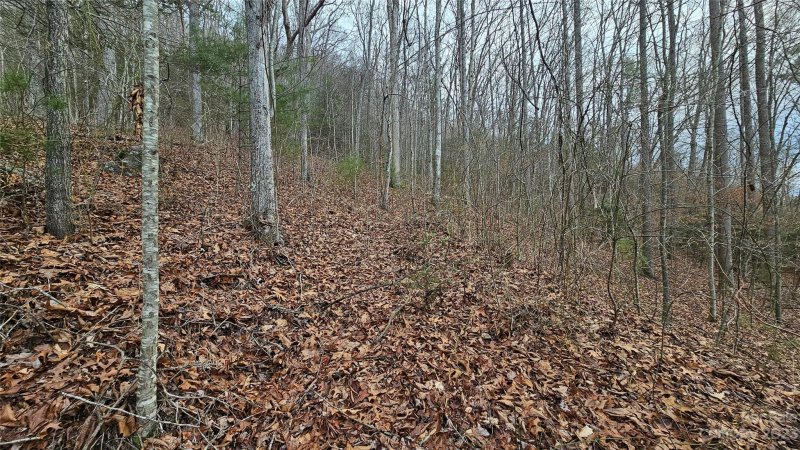 Property image 3 of Lot 14 Seay Mountain Road in Seay Mountain, Waynesville, NC 28785