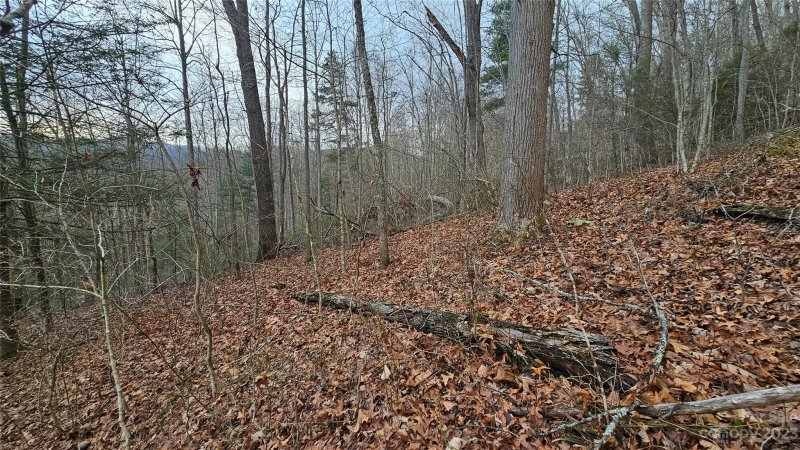 Property image 4 of Lot 14 Seay Mountain Road in Seay Mountain, Waynesville, NC 28785