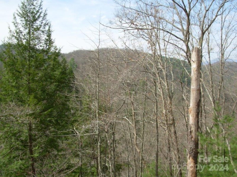 Property image 2 at Lot 110 Laurel Ridge, Marshall, NC 28754