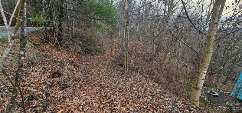 Property image 4 of 4 Lots Seay Mountain Road in Seay Mountain, Waynesville, NC 28785