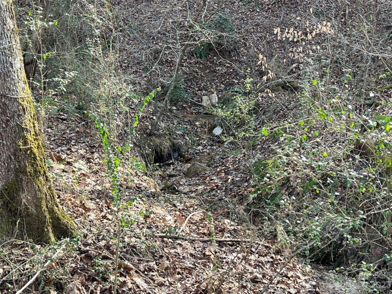 Property image 5 of Lot 19 Oakdale Estates Drive in Oakdale, Old Fort, NC 28762