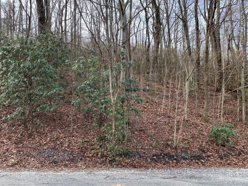 00 Melrose Mountain Road