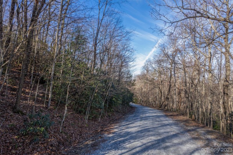 Property image 3 at 00 Melrose Mountain Road, Tryon, NC 28782