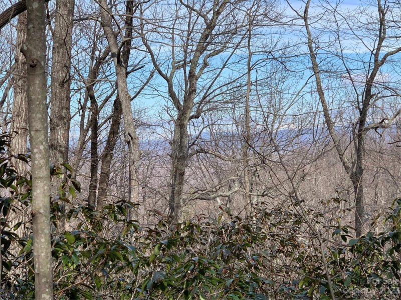 Property image 4 at 00 Melrose Mountain Road, Tryon, NC 28782