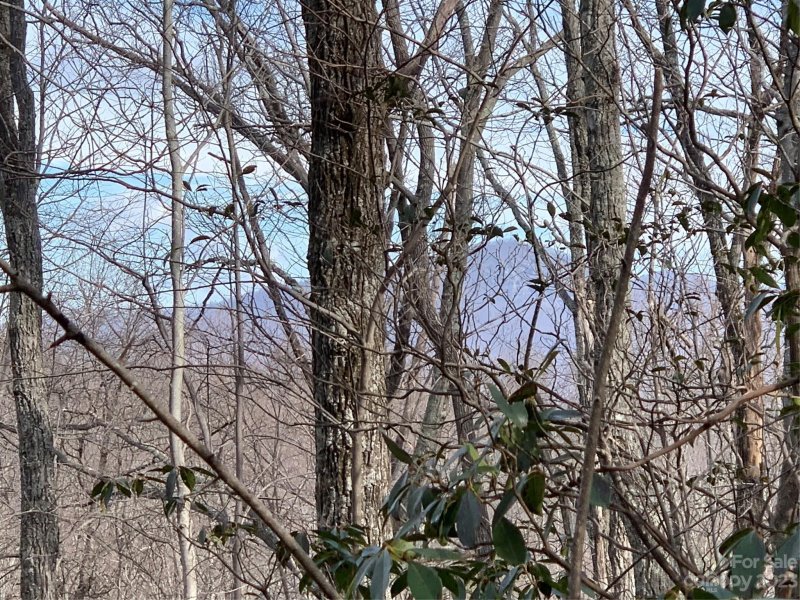 Property image 5 at 00 Melrose Mountain Road, Tryon, NC 28782