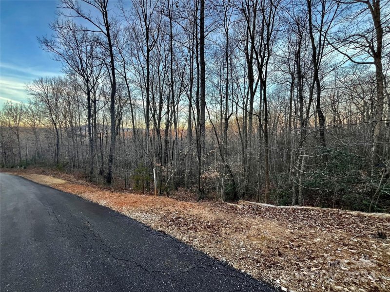 Property image 5 at Lot 79 Big Branch Drive, Marion, NC 28752