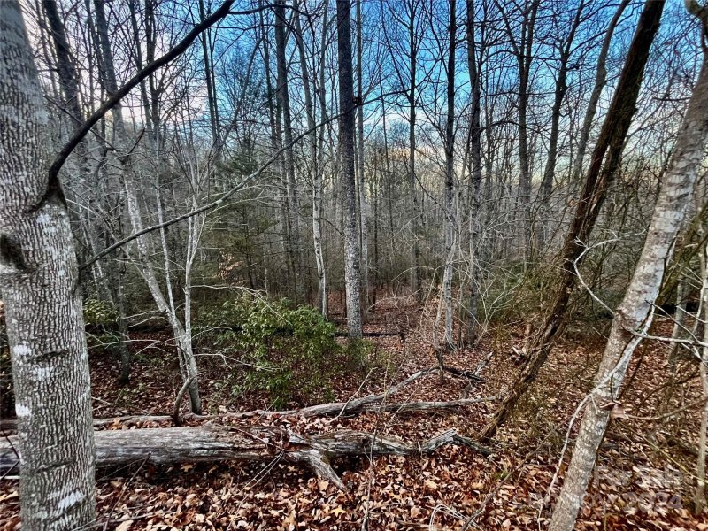 Property image 5 at Lot 123 Heartwood Drive, Marion, NC 28752