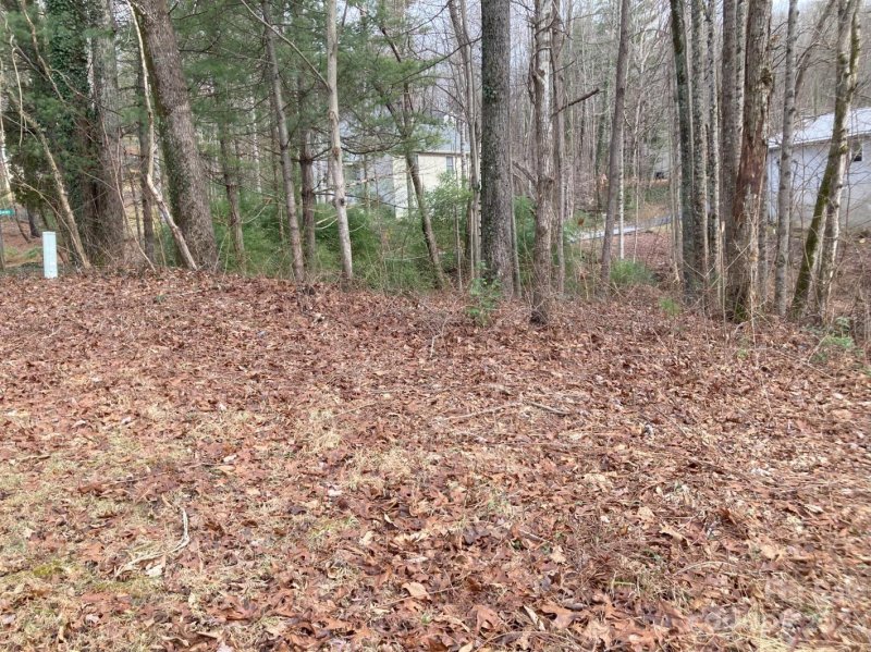 Property image 2 at 0 Summer Savory Court, Flat Rock, NC 28731