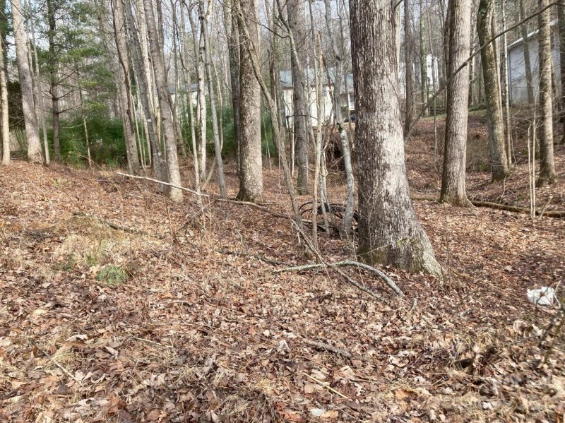 Property image 3 at 0 Summer Savory Court, Flat Rock, NC 28731