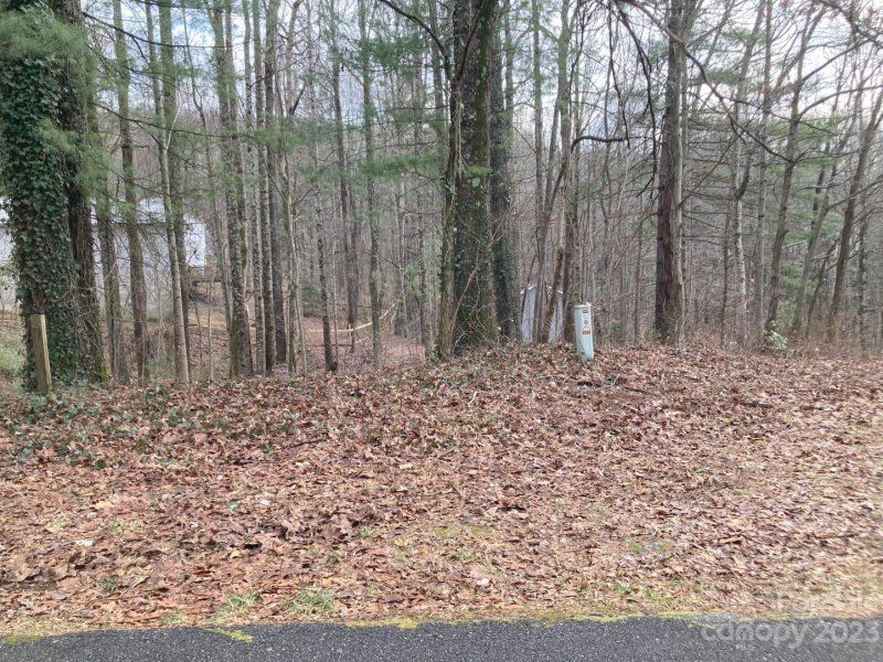 Property image 4 at 0 Summer Savory Court, Flat Rock, NC 28731